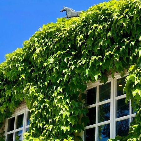 Apartment Gaestehaus Schloss Bothmer ชวาร์มชเตดท์ ภายนอก รูปภาพ