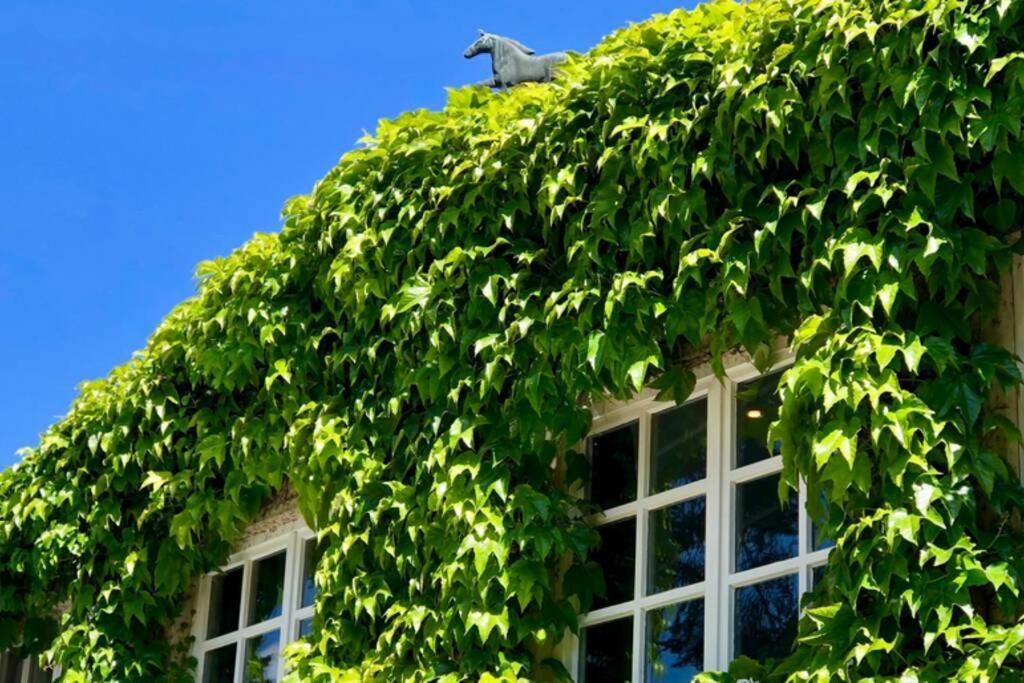 Apartment Gaestehaus Schloss Bothmer ชวาร์มชเตดท์ ภายนอก รูปภาพ